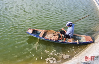 Hà Tĩnh: Người nuôi tôm huyện Kỳ Anh dập dịch đốm trắng, bảo vệ vụ tôm xuân hè