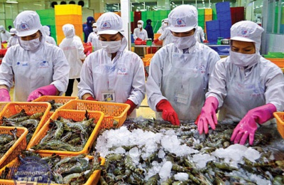 Xuất khẩu thủy sản giảm sâu 28% trong 5 tháng đầu năm 2023 – Tạp chí Thủy sản Việt Nam