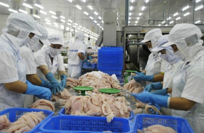 Trung Quốc tăng kiểm soát hàng thủy sản nhập khẩu, doanh nghiệp cá tra nên bình tĩnh