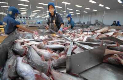 Vướng kiểm tra ngừa Covid-19, cá tra vào thị trường Trung Quốc giảm gần 30%
